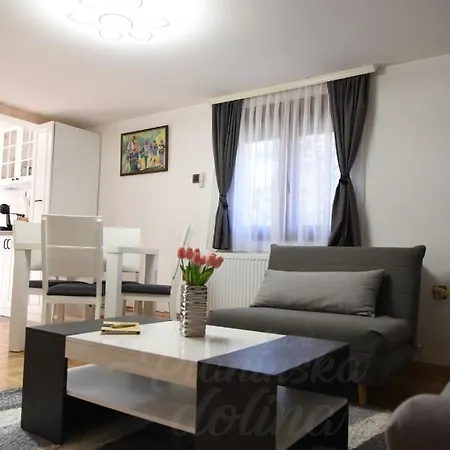 Planinska Dolina Apartment Divcibare Exterior photo