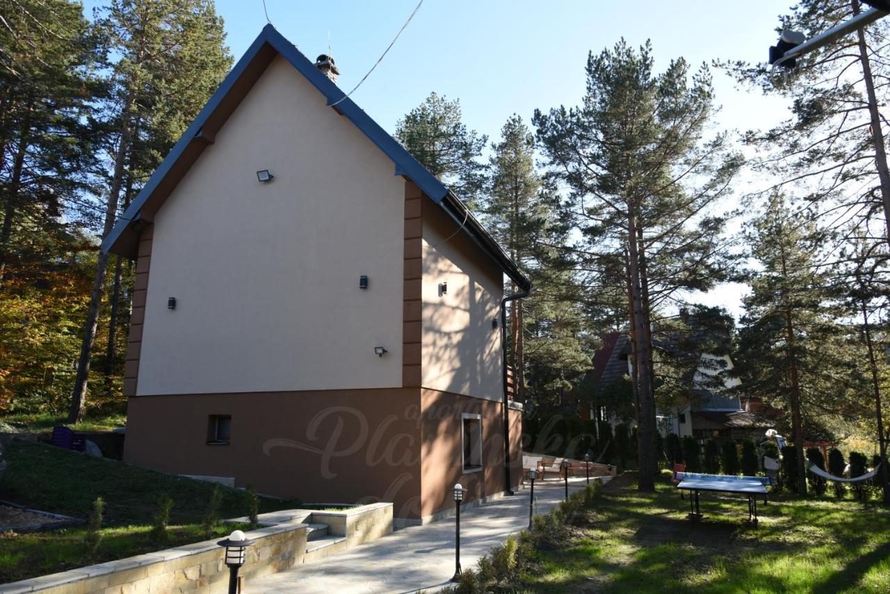 Planinska Dolina