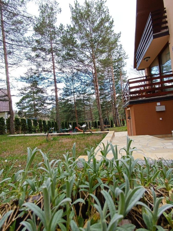 Appartamento Planinska Dolina