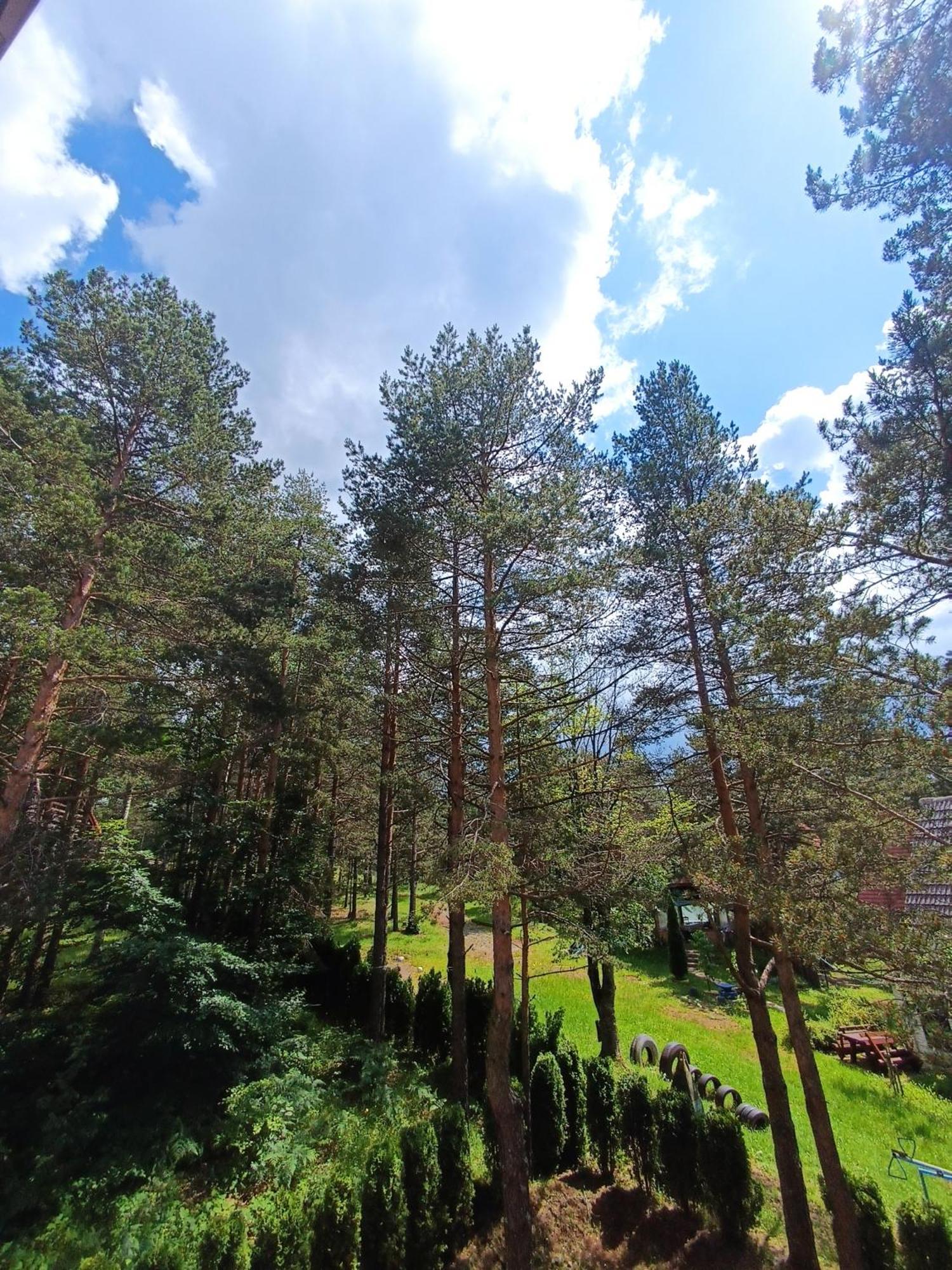 Planinska Dolina *