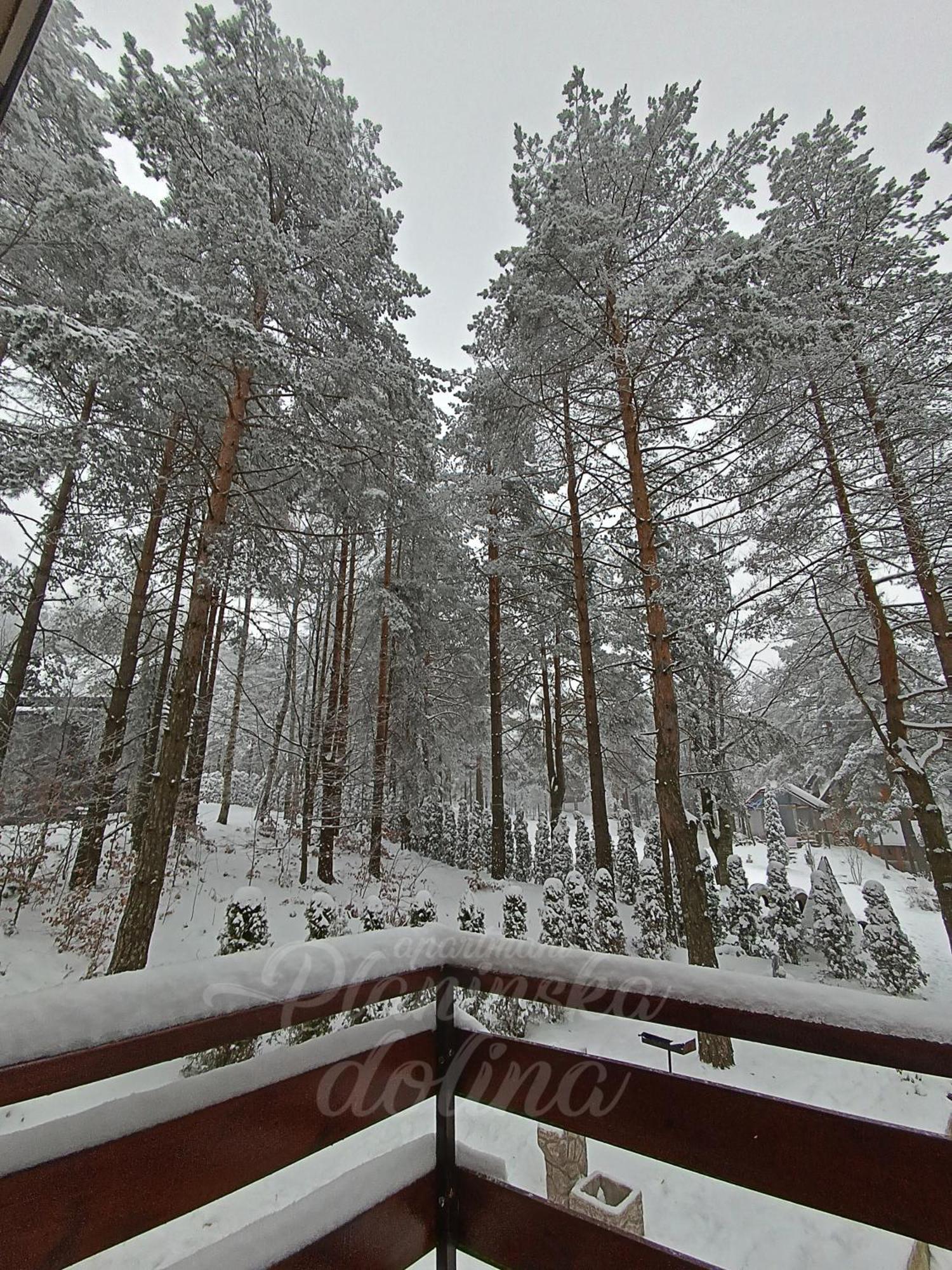 Planinska Dolina Divčibare
