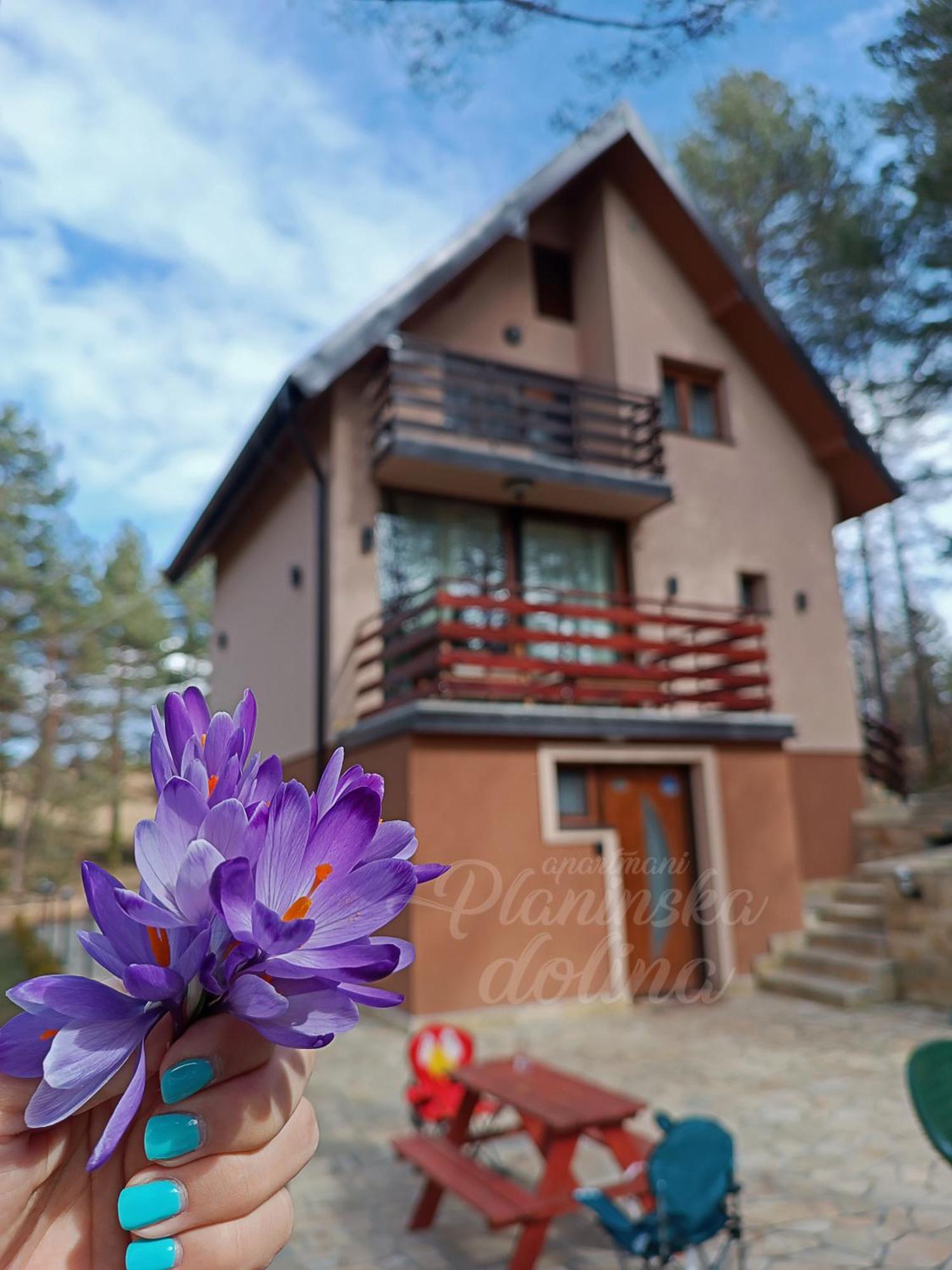 Appartamento Planinska Dolina Divčibare